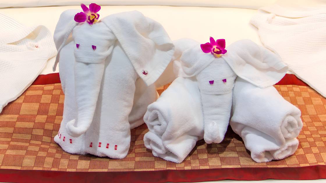 Towel Animal Theater