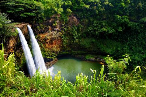 Waterfall in a Hawaiian rainforest