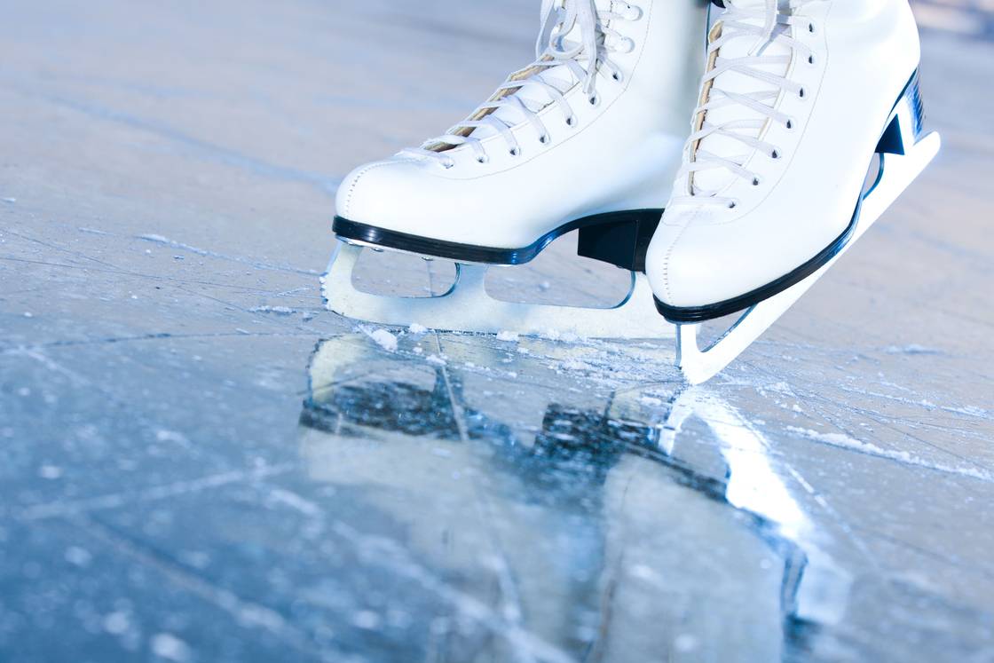365: The Seasons on Ice